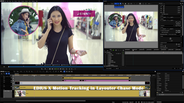 EDIUS X Workgroup | Video Editing Software (Full & Commercial Version) - Image 2