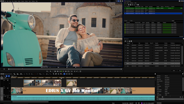 EDIUS X Workgroup | Video Editing Software (Full & Commercial Version) - Image 4